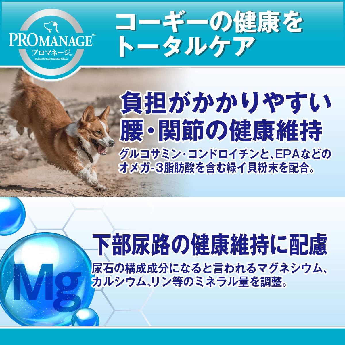 Amazon.co.jp: プロマネージ ドッグフード 成犬用 ウェルシュ